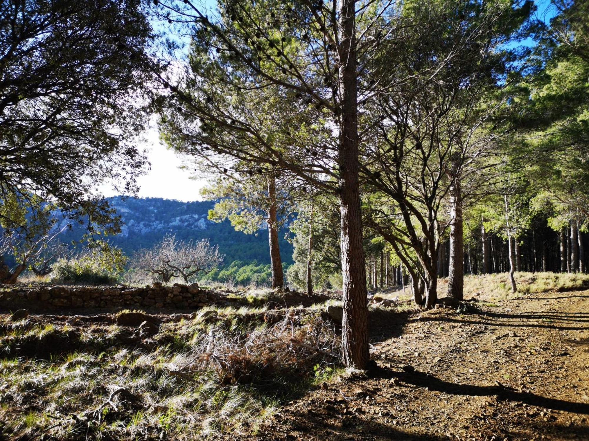 L'Antic Forn De Pauels Villa Luaran gambar